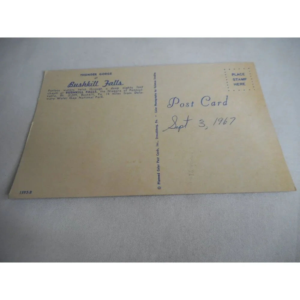 Vintage Postcard unposted Bushkill Falls, PA Thunder Gorge 1960s